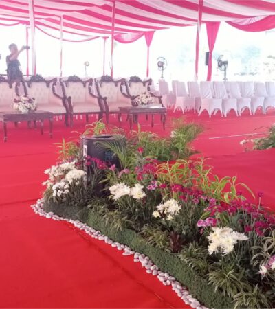 Mini Garden atau Taman Panggung