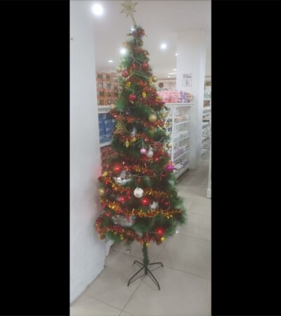 Jasa Dekorasi Pohon Natal di Jogja