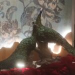 Dekorasi Taman dan Merak Garden Hotel Jogja