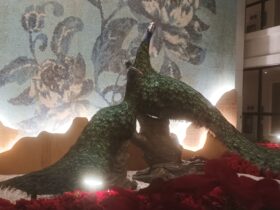 Dekorasi Taman dan Merak Garden Hotel Jogja